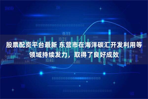 股票配资平台最新 东营市在海洋碳汇开发利用等领域持续发力，取得了良好成效