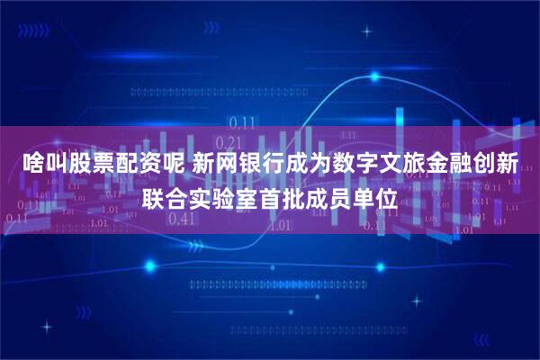 啥叫股票配资呢 新网银行成为数字文旅金融创新联合实验室首批成员单位
